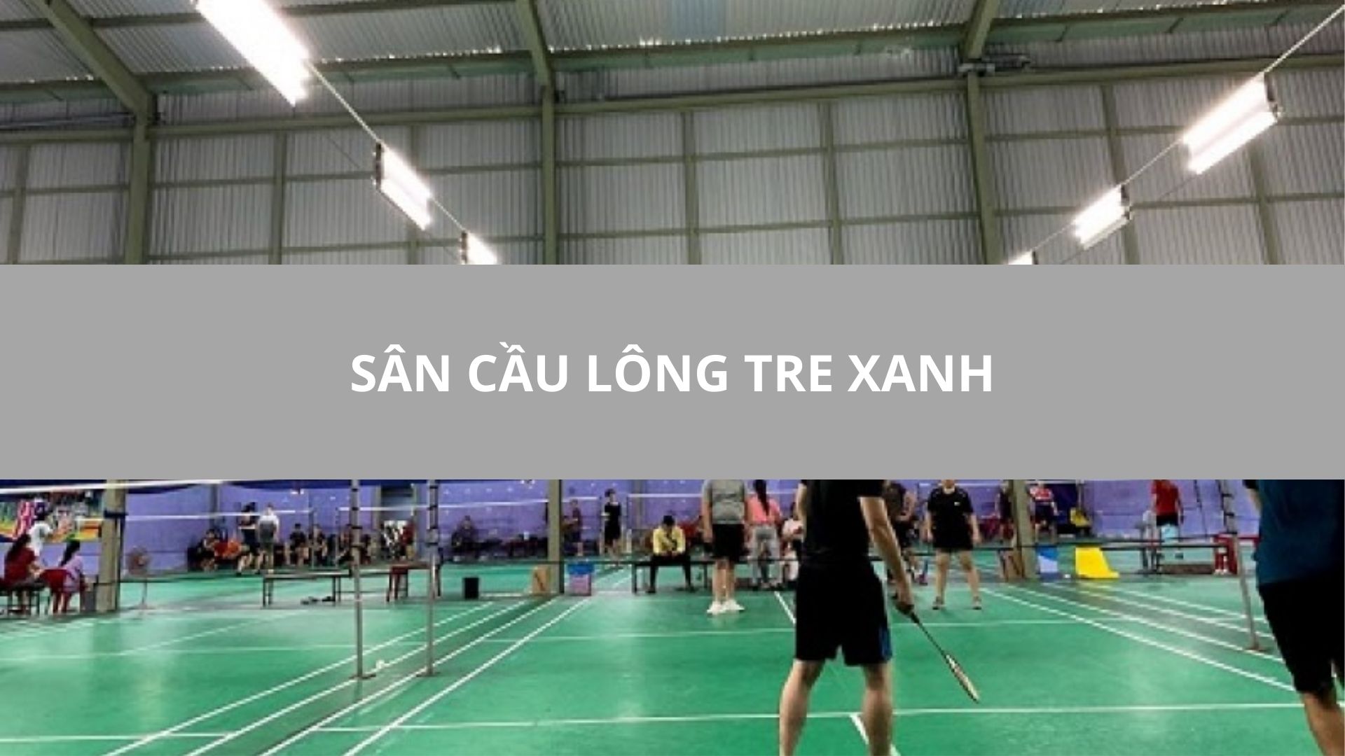 SÂN CẦU LÔNG TRE XANH, BÌNH THẠNH, TPHCM