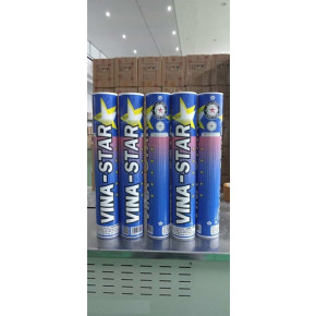 Ống cầu lông Vina Star